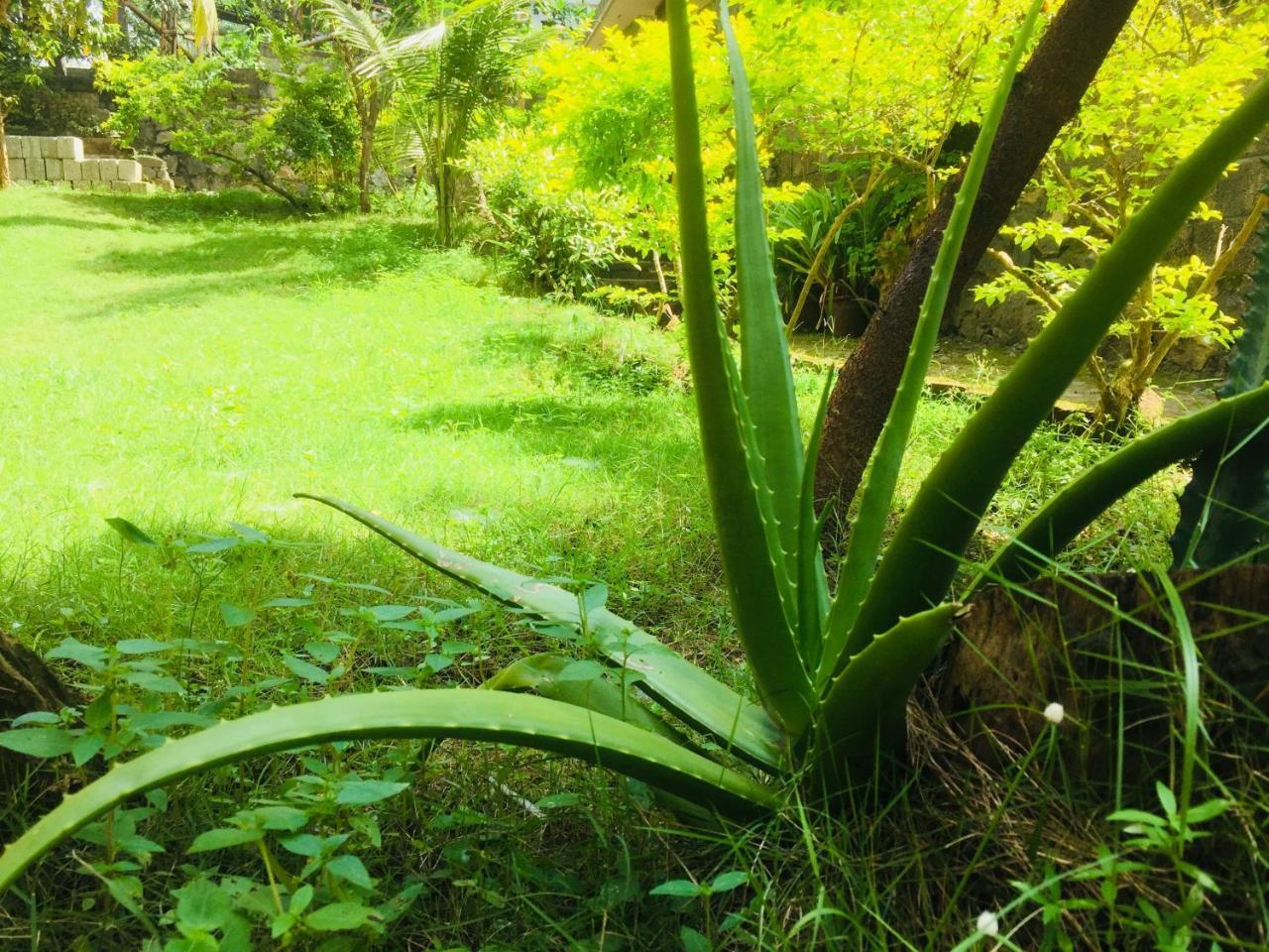 Ganesh House Homestay Kovalam Εξωτερικό φωτογραφία